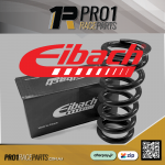 Eibach Racing Springs Coil Over Speedway Drag