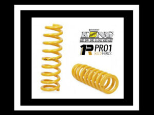 King Springs Custom Racing Springs with FREE Post*