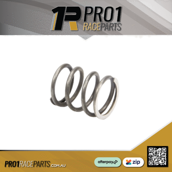 BERT Transmission Counter Spring